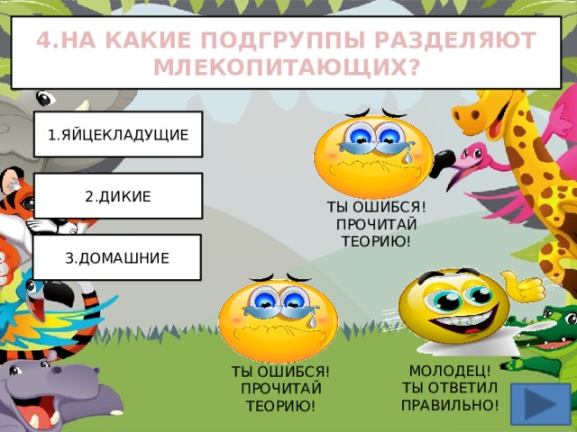 4.НА КАКИЕ ПОДГРУППЫ РАЗДЕЛЯЮТ МЛЕКОПИТАЮЩИХ? 1.ЯЙЦЕКЛАДУЩИЕ 2.ДИКИЕ ТЫ ОШИБСЯ! ПРОЧИТАЙ ТЕОРИЮ! 3.ДОМАШНИЕ МОЛОДЕЦ!  ТЫ ОТВЕТИЛ ПРАВИЛЬНО! ТЫ ОШИБСЯ! ПРОЧИТАЙ ТЕОРИЮ! 