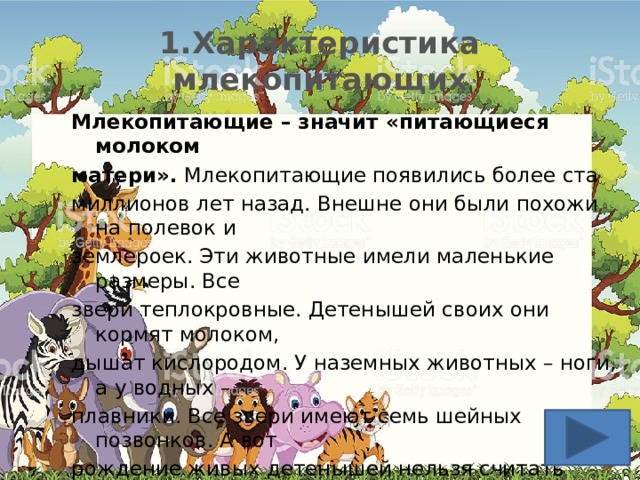 1.Характеристика млекопитающих Млекопитающие – значит «питающиеся молоком матери».  Млекопитающие появились более ста миллионов лет назад. Внешне они были похожи на полевок и землероек. Эти животные имели маленькие размеры. Все звери теплокровные. Детенышей своих они кормят молоком, дышат кислородом. У наземных животных – ноги, а у водных – плавники. Все звери имеют семь шейных позвонков. А вот рождение живых детенышей нельзя считать общим признаком для всех зверей, наоборот, по этому признаку ученые делят млекопитающих на группы-подклассы. 