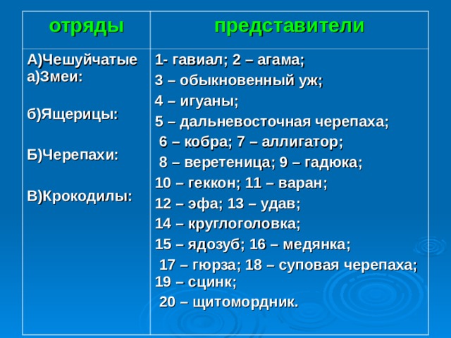 Чешуйчатые представители. Отряд чешуйчатые классификация. Отряд чешуйчатые представители. Число видов круглоголовые представители.