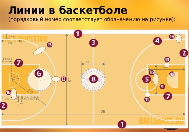 баскетбол разметка площадки правила игры