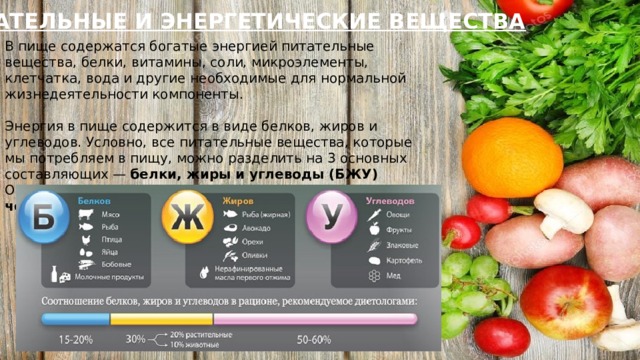 ПИТАТЕЛЬНЫЕ И ЭНЕРГЕТИЧЕСКИЕ ВЕЩЕСТВА В пище содержатся богатые энергией питательные вещества, белки, витамины, соли, микроэлементы, клетчатка, вода и другие необходимые для нормальной жизнедеятельности компоненты.   Энергия в пище содержится в виде белков, жиров и углеводов. Условно, все питательные вещества, которые мы потребляем в пищу, можно разделить на 3 основных составляющих —  белки, жиры и углеводы (БЖУ) Оптимальные пропорции БЖУ среднестатистического человека выглядят так: 