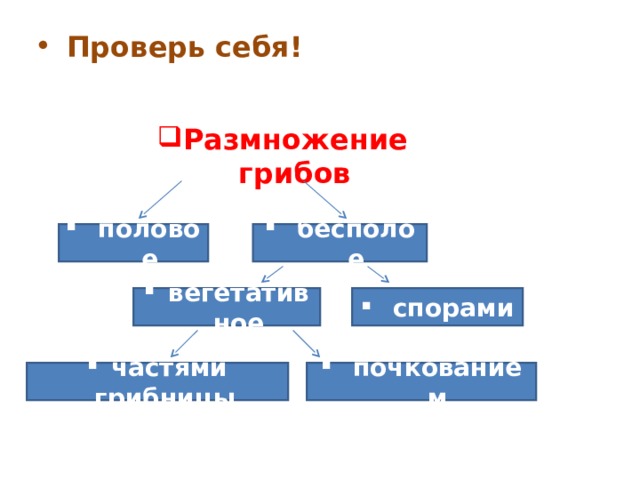 Проверь себя! Размножение грибов  половое бесполое вегетативное спорами частями грибницы почкованием 