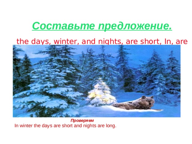 Составьте предложение.  the days, winter, and nights, are short, In, are long .  Проверяем   In winter the days are short and nights are long.  