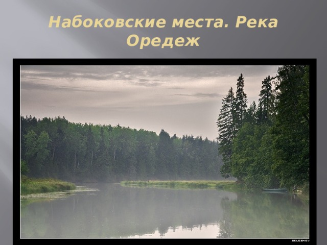 Набоковские места. Река Оредеж 
