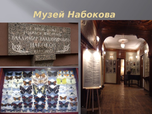 Музей Набокова 