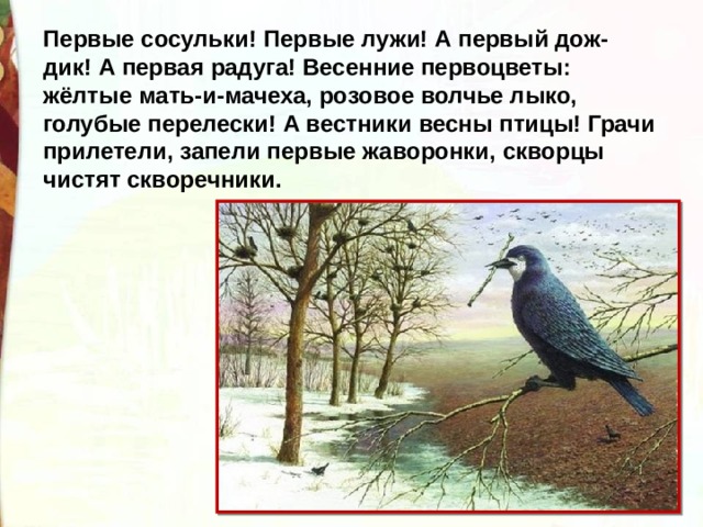 Какая птица считается вестником весны. Первые вестники весны птицы.