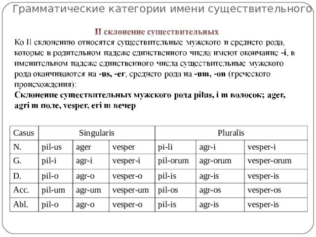 Категория имена. Ager склонение. Vesper склонение. Определение основу существительного Ager Agri m. Определите основу существительного Ager, Agri m поле.