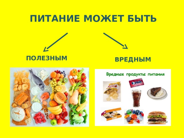 Проект полезные продукты