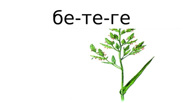 бе-те-ге 