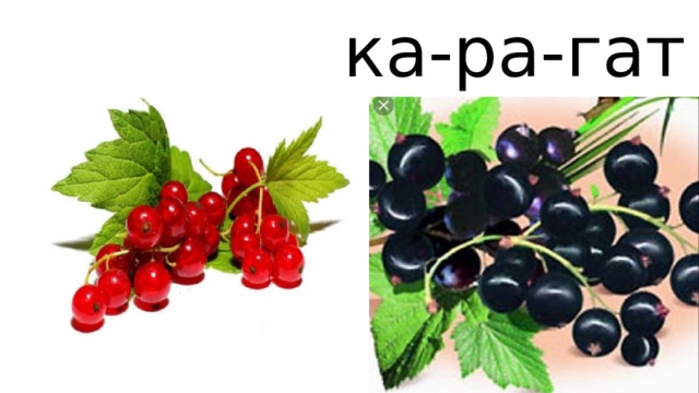  ка-ра-гат 