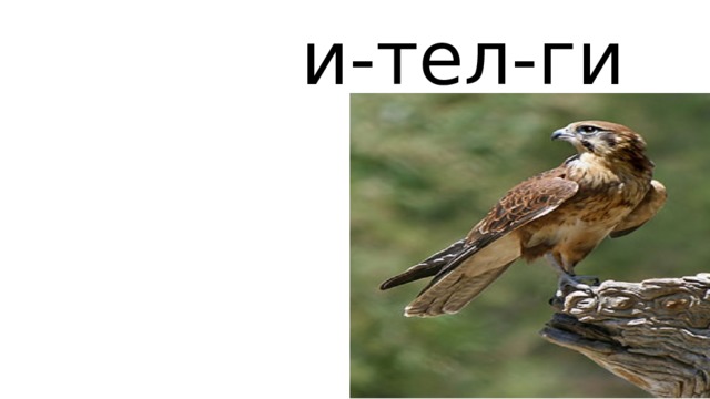  и-тел-ги 