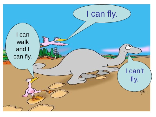 I can fly. I can walk and I can fly. I can’t fly. 