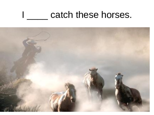 I ____ catch these horses. 