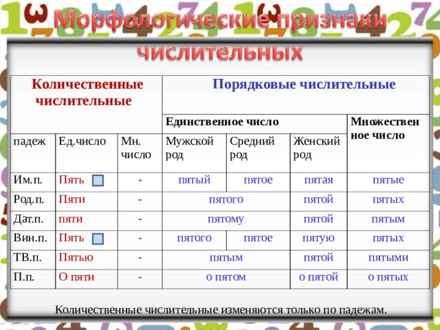  Количественные  числительные падеж  Порядковые числительные Ед.число Им.п. Пять Единственное число Мн. число Род.п. Мужской род Пяти Дат.п. - пяти - пятый Вин.п. Средний род Пять Женский род пятого ТВ.п. - пятое Множественное число Пятью пятому пятая - П.п. пятой О пяти пятого пятые - - пятым пятых пятой пятое пятую о пятом пятым пятых пятой о пятой пятыми о пятых  Количественные числительные изменяются только по падежам. 