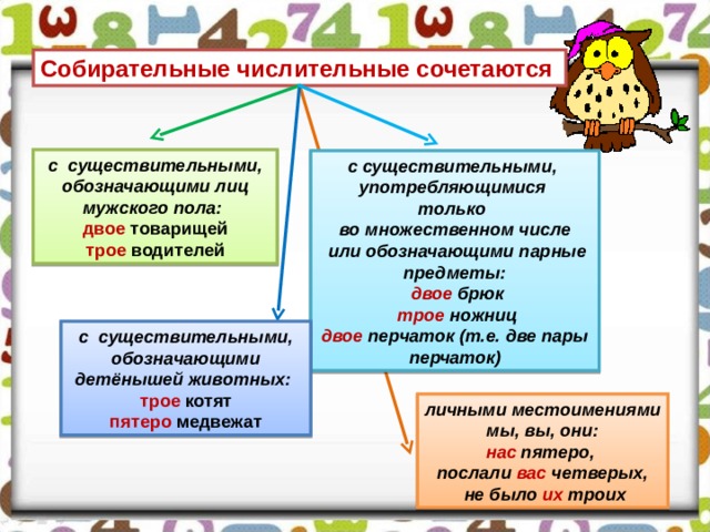 Собирательные числительные сочетаются с существительными, обозначающими лиц мужского пола:  двое товарищей трое водителей с существительными, употребляющимися только во множественном числе  или обозначающими парные предметы:  двое брюк  трое ножниц двое перчаток (т.е. две пары перчаток) с существительными, обозначающими детёнышей животных:  трое котят пятеро медвежат личными местоимениями  мы, вы, они: нас пятеро, послали вас четверых,  не было их троих 38 
