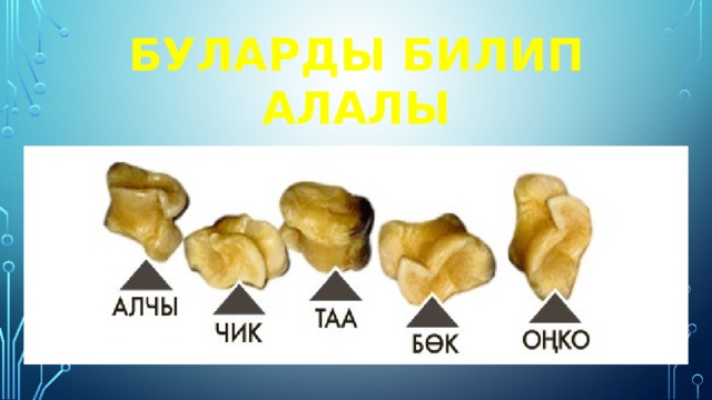 Буларды билип алалы 