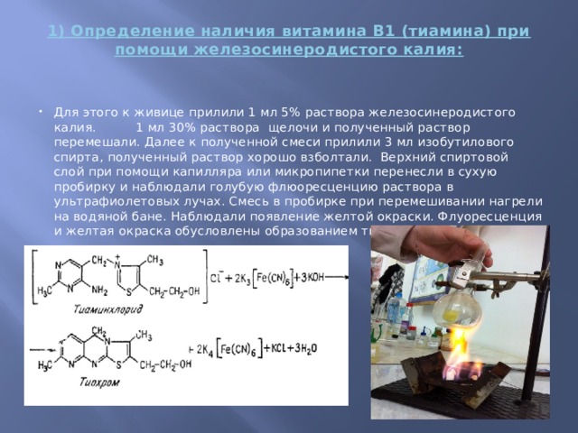1) Определение наличия витамина В1 (тиамина) при помощи железосинеродистого калия:   Для этого к живице прилили 1 мл 5% раствора железосинеродистого калия. 1 мл 30% раствора щелочи и полученный раствор перемешали. Далее к полученной смеси прилили 3 мл изобутилового спирта, полученный раствор хорошо взболтали. Верхний спиртовой слой при помощи капилляра или микропипетки перенесли в сухую пробирку и наблюдали голубую флюоресценцию раствора в ультрафиолетовых лучах. Смесь в пробирке при перемешивании нагрели на водяной бане. Наблюдали появление желтой окраски. Флуоресценция и желтая окраска обусловлены образованием тиохрома: 