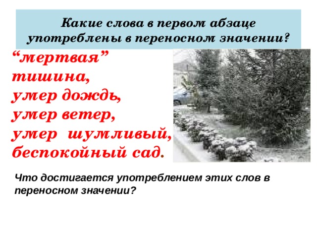 Изложение по русскому первый снег. Выразительные средства в тексте Паустовского первый снег. Паустовский снег проблема текста.