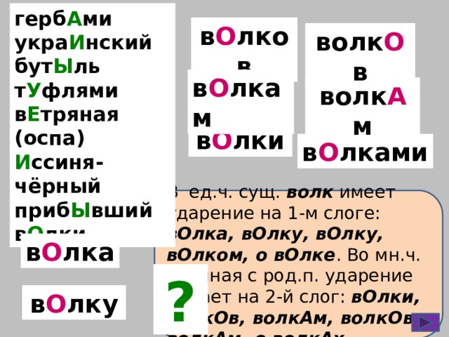 герб А ми укра И нский бут Ы ль т У флями в Е тряная (оспа) И ссиня-чёрный приб Ы вший в О лки в О лков волк О в в О лкам волк А м в О лки в О лками В ед.ч. сущ. волк имеет ударение на 1-м слоге: вОлка, вОлку, вОлку, вОлком, о вОлке . Во мн.ч. начиная с род.п. ударение падает на 2-й слог: вОлки, волкОв, волкАм, волкОв, волкАм, о волкАх . в О лка ? в О лку  