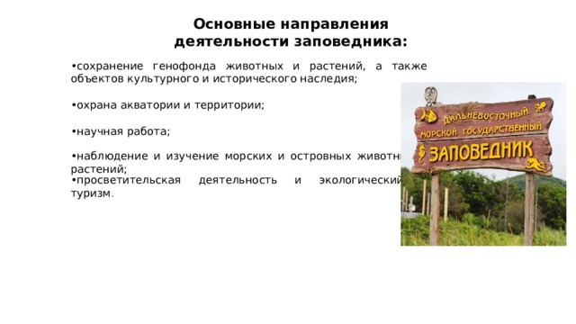 Работа в заповеднике. Направление деятельности заповедника. Виды деятельности заповедника. Какая деятельность в заповедниках. Эколого-просветительское направление работы заповедника.