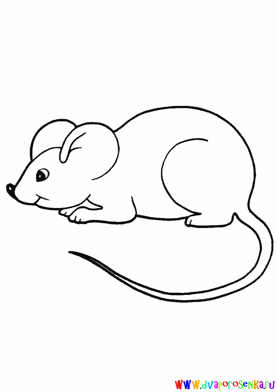 Нарисовать мышь 2 класс
