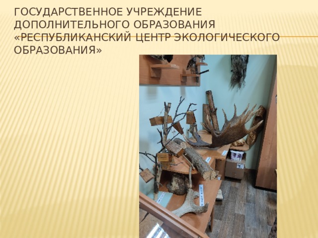 Государственное учреждение дополнительного образования «Республиканский центр экологического образования» 
