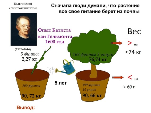 Презентация на тему фотосинтез 6 класс по биологии