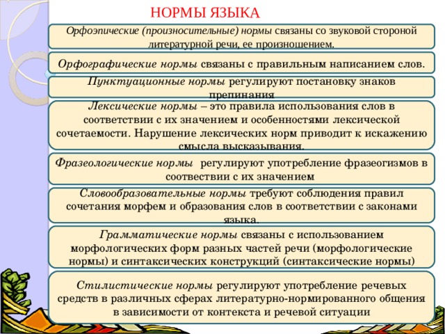 НОРМЫ ЯЗЫКА Орфоэпические (произносительные) нормы связаны со звуковой стороной литературной речи, ее произношением. Орфографические нормы связаны с правильным написанием слов. Пунктуационные нормы регулируют постановку знаков препинания Лексические нормы – это правила использования слов в соответствии с их значением и особенностями лексической сочетаемости. Нарушение лексических норм приводит к искажению смысла высказывания. Фразеологические нормы регулируют употребление фразеогизмов в соотвествии с их значением Словообразовательные нормы требуют соблюдения правил сочетания морфем и образования слов в соответствии с законами языка. Грамматические нормы связаны с использованием морфологических форм разных частей речи (морфологические нормы) и синтаксических конструкций (синтаксические нормы) Стилистические нормы регулируют употребление речевых средств в различных сферах литературно-нормированного общения в зависимости от контекста и речевой ситуации  