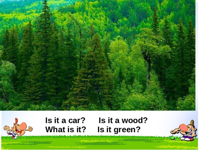 Is it a car? Is it a wood? What is it? Is it green?  
