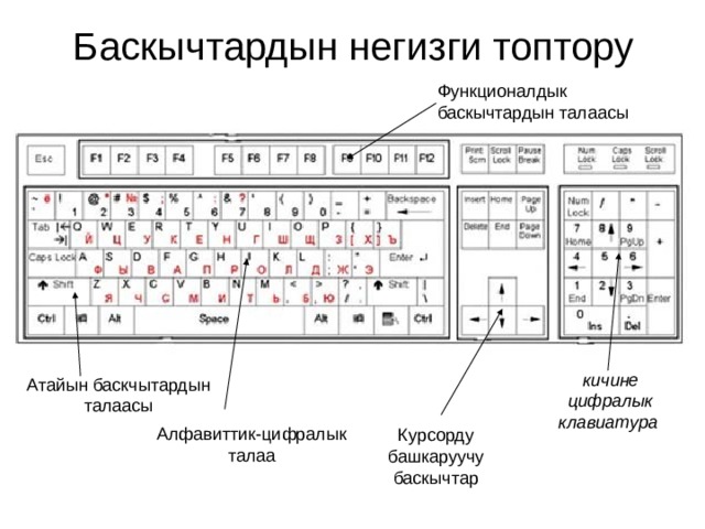 Баскычтардын негизги топтору Функционалдык баскычтардын талаасы кичине цифралык клавиатура  Атайын баскчытардын талаасы Алфавиттик-цифралык талаа Курсорду башкаруучу баскычтар 