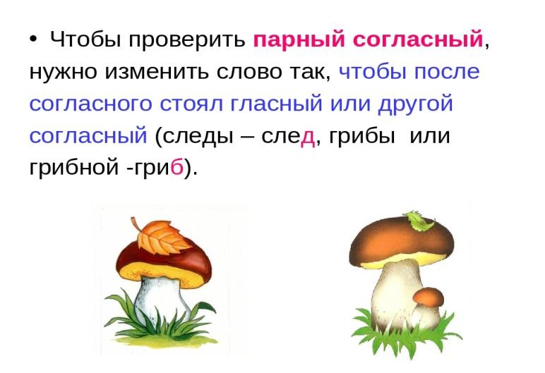 Способы проверки парных согласных 2 класс