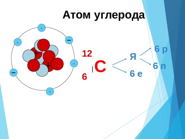 Атом углерода содержит