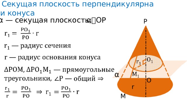 2) Секущая плоскость перпендикулярна оси конуса α⏊ OP α — секущая плоскость , P B α O r M 7 