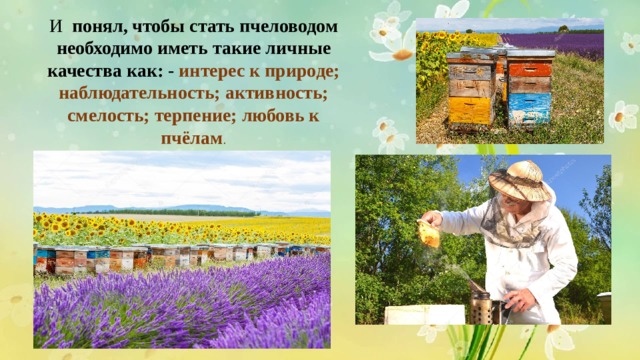 И   понял, чтобы стать пчеловодом необходимо иметь такие личные качества как: - интерес к природе; наблюдательность; активность; смелость; терпение; любовь к пчёлам . 