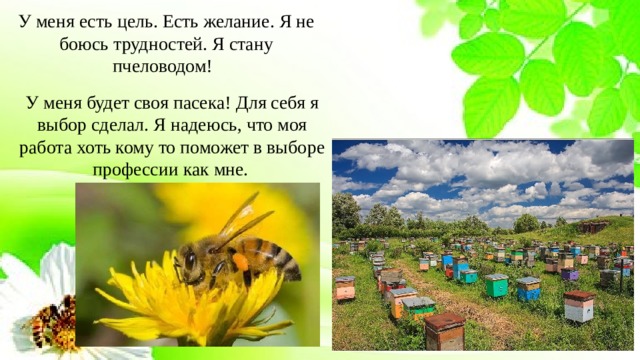 У меня есть цель. Есть желание. Я не боюсь трудностей. Я стану пчеловодом!   У меня будет своя пасека! Для себя я выбор сделал. Я надеюсь, что моя работа хоть кому то поможет в выборе профессии как мне.   
