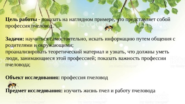 Цель работы  - показать на наглядном примере, что представляет собой профессия пчеловод.  Задачи: научиться самостоятельно, искать информацию путем общения с родителями и окружающими;  проанализировать теоретический материал и узнать, что должны уметь люди, занимающиеся этой профессией; показать важность профессии пчеловода; Объект исследования:  профессия пчеловод  Предмет исследования:  изучить жизнь пчел и работу пчеловода 