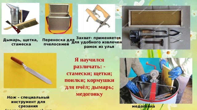 Захват- применяется  для удобного извлечения  рамок из улья Переноска для Дымарь, щетка,  пчелосемей  стамеска Я научился различать: - стамески; щетки; поилки; кормушки для пчёл; дымарь; медогонку Нож  – специальный инструмент для срезания (распечатывания) сот медогонка 