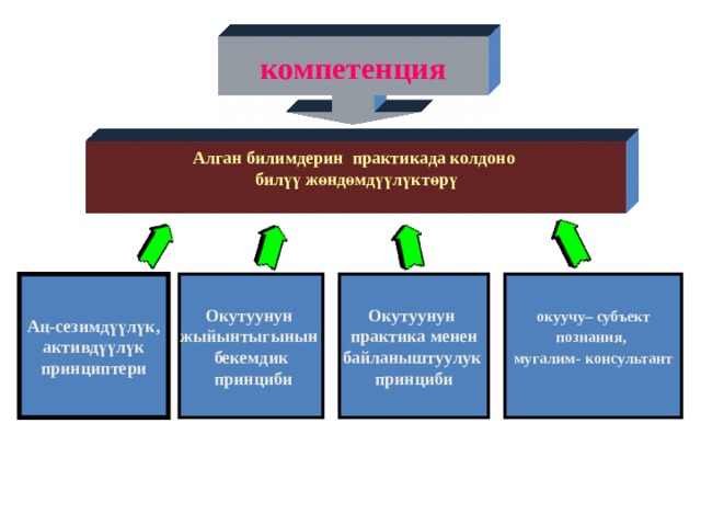 Усулдук бирикменин иш планы токтомдору