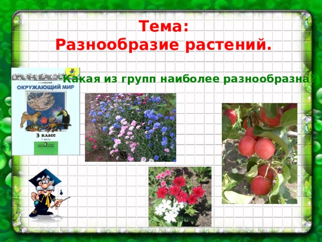 Презентация многообразие растений 5 класс. План характеристики растений для начальной школы.