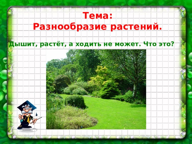 Разнообразие растений презентация. Разнообразие растений цель. Вывод разнообразие растений. От чего зависит разнообразие растений. Дышит растет а ходить не может.