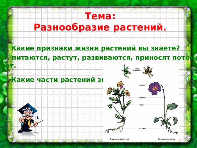 Урок разнообразие растений 3 класс. Признаки жизни растений. Какие признаки жизни растений:____. Признаки жизни растений 3 класс. Признаки жизни растений 1 класс.