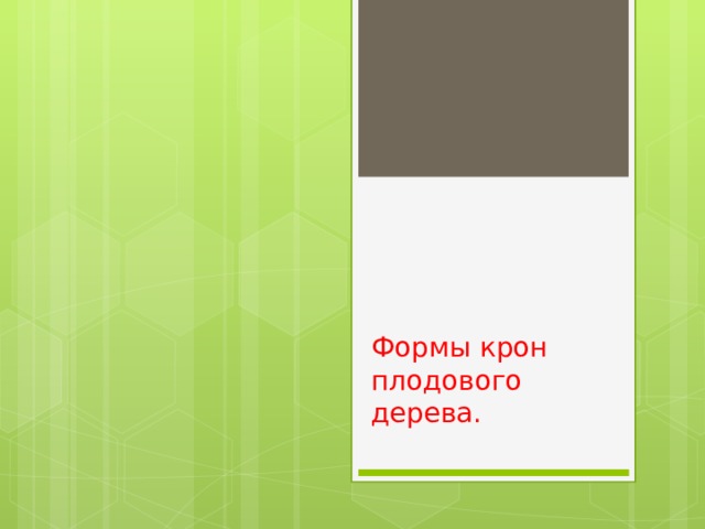 Формы крон плодового дерева. 