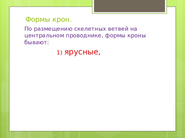  Формы крон. По размещению скелетных ветвей на центральном проводнике, формы кроны бывают:  1) ярусные, 