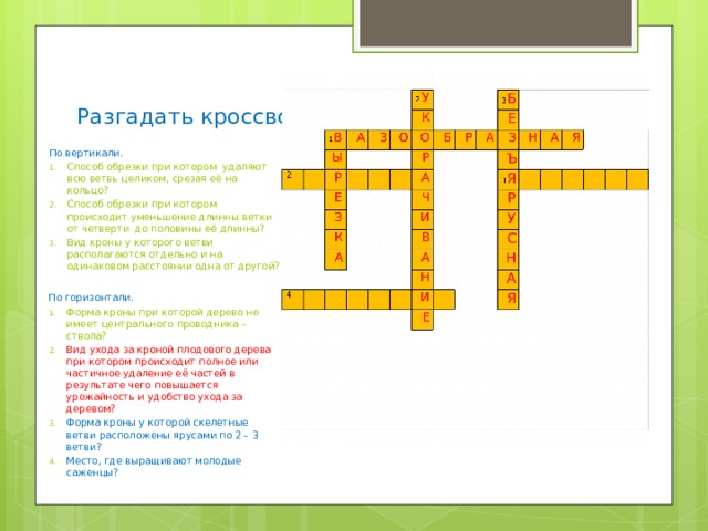 Разгадать кроссворд. По вертикали. Способ обрезки при котором удаляют всю ветвь целиком, срезая её на кольцо? Способ обрезки при котором происходит уменьшение длинны ветки от четверти до половины её длинны? Вид кроны у которого ветви располагаются отдельно и на одинаковом расстоянии одна от другой? По горизонтали. Форма кроны при которой дерево не имеет центрального проводника – ствола? Вид ухода за кроной плодового дерева при котором происходит полное или частичное удаление её частей в результате чего повышается урожайность и удобство ухода за деревом? Форма кроны у которой скелетные ветви расположены ярусами по 2 – 3 ветви? Место, где выращивают молодые саженцы? 