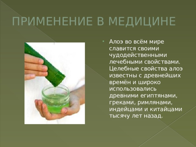 ПРИМЕНЕНИЕ В МЕДИЦИНЕ Алоэ во всём мире славится своими чудодейственными лечебными свойствами. Целебные свойства алоэ известны с древнейших времён и широко использовались древними египтянами, греками, римлянами, индейцами и китайцами тысячу лет назад. 