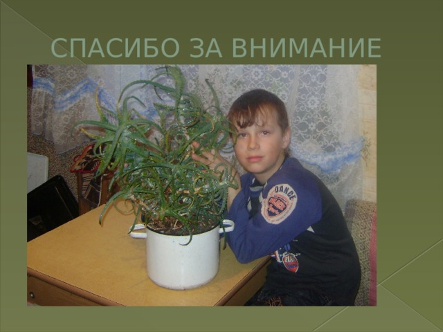 СПАСИБО ЗА ВНИМАНИЕ 