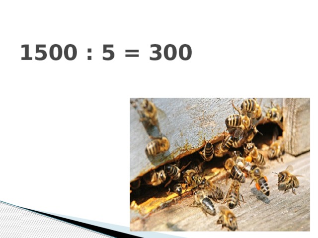  1500 : 5 = 300 
