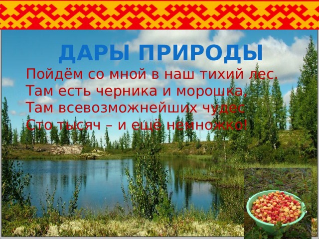 ДАРЫ ПРИРОДЫ Пойдём со мной в наш тихий лес.  Там есть черника и морошка,  Там всевозможнейших чудес  Сто тысяч – и ещё немножко!