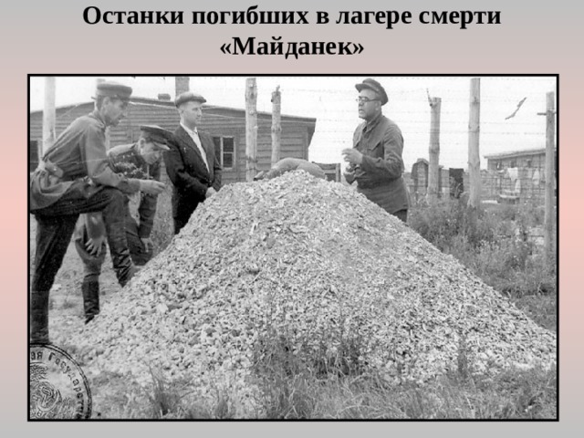 Останки погибших в лагере смерти «Майданек»  