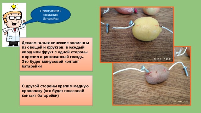 Приступаем к созданию батарейки Делаем гальванические элементы из овощей и фруктов: в каждый овощ или фрукт с одной стороны я крепил оцинкованный гвоздь. Это будет минусовой контакт батарейки  С другой стороны крепим медную проволоку (это будет плюсовой контакт батарейки)  